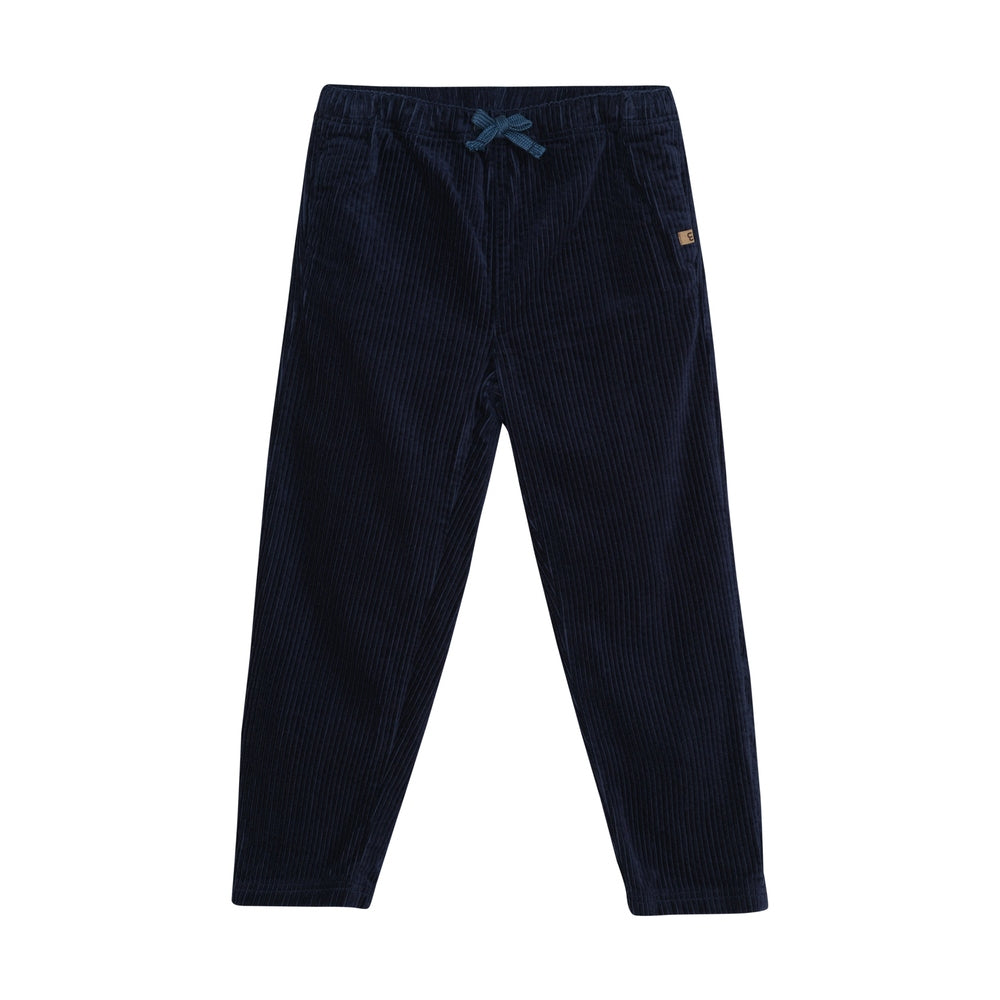 Minymo Broek Velours - Parisian night