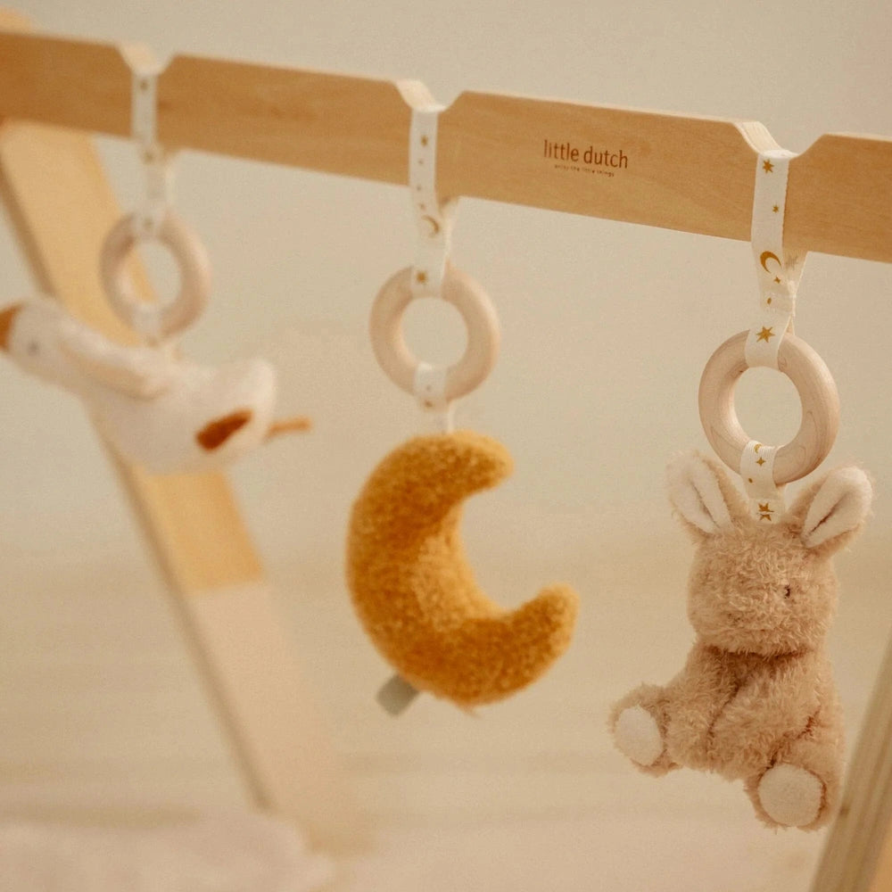 Little Dutch Babygym - Newborn Naturals