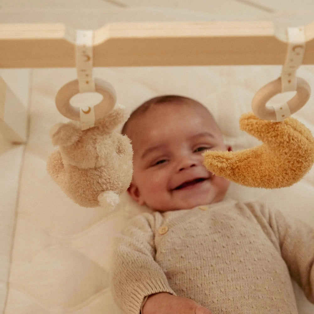 Little Dutch Babygym - Newborn Naturals