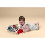 Taf Toys Tummy Time Sensory Book