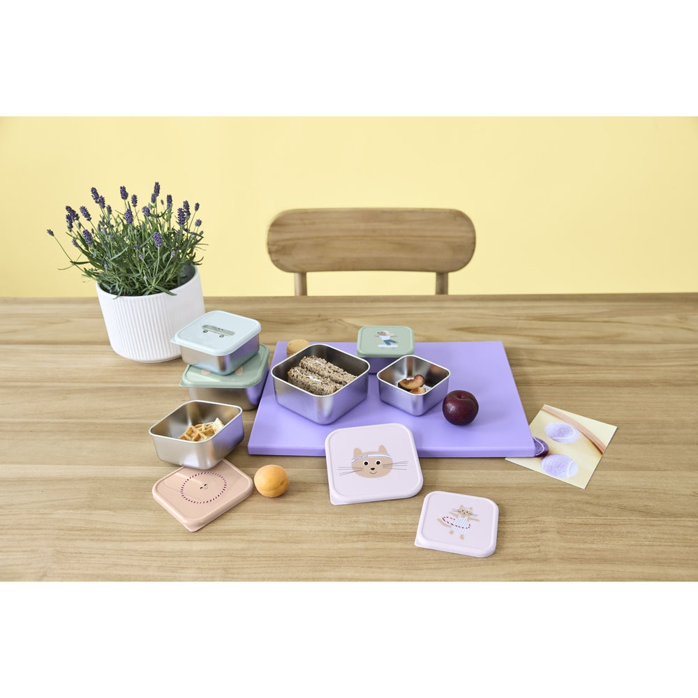 Lässig Roestvrije Snackbox 3 Delige Set - Tiny Team Kat
