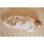 Puckababy Piep 44-62cm | 2,5 - 5,5 kg All Seasons - Teddy Bears