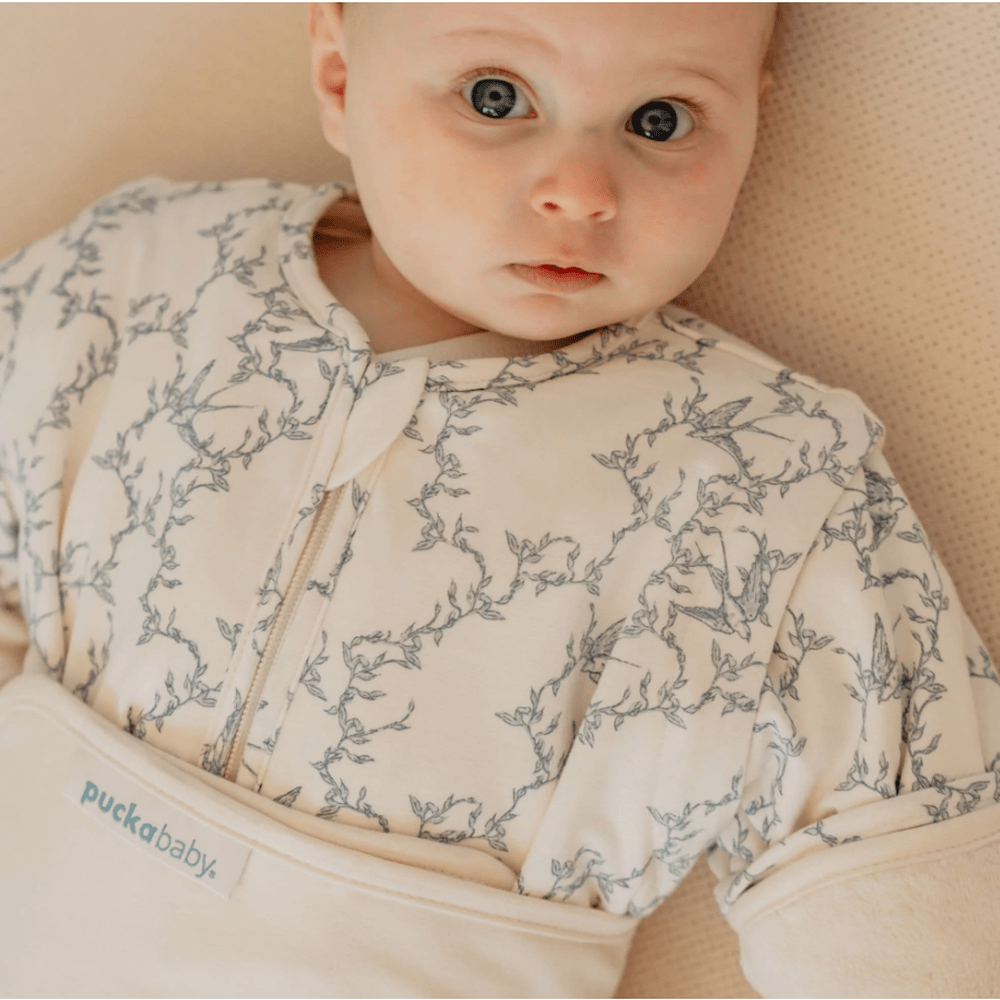 Puckababy Gigoteuse Bag 4 Seasons 6m-2,5 ans - Hirondelles
