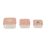 Lässig Roestvrije Snackbox 3 Delige Set - Party Rose