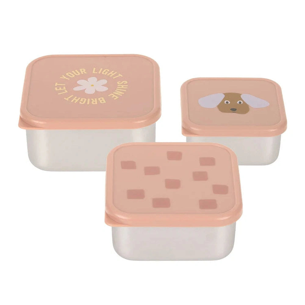 Lässig Roestvrije Snackbox 3 Delige Set - Party Rose