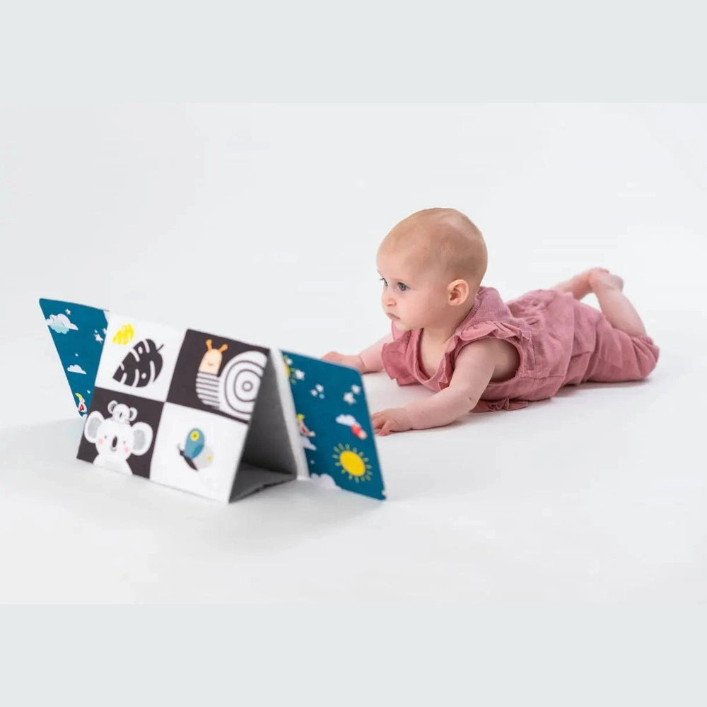 Taf Toys Tummy-Time Mirror Book