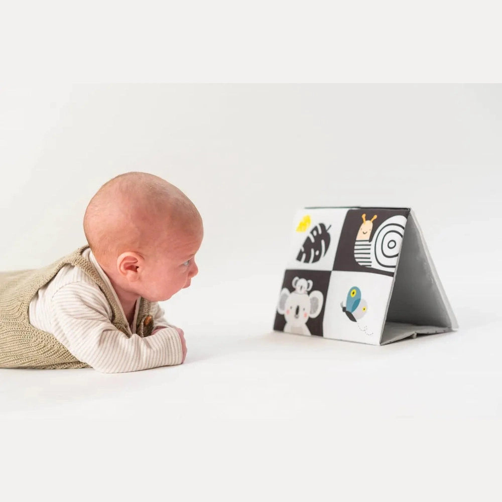 Taf Toys Tummy-Time Mirror Book