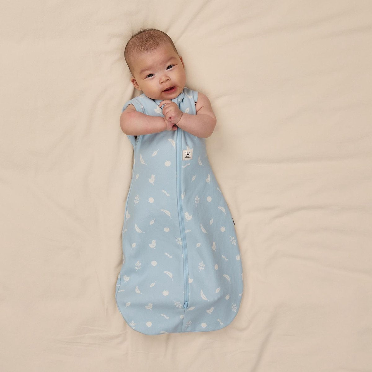 Ergopouch Cocoon Combi Slaapzak Baby + Inbakerslaapzak 0,2 Tog 3-6M - Ducks