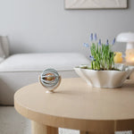 Mushie - Suction Spinner Ball