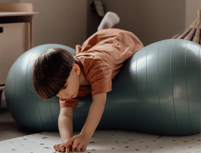 Find That Hippo Peanut Shaped Balance Ball - Dark Grey