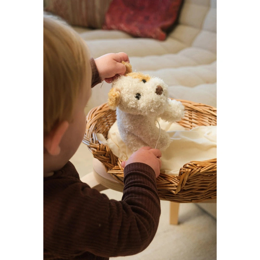 Egmont Toys Eliot Hond Met Muziekdoos