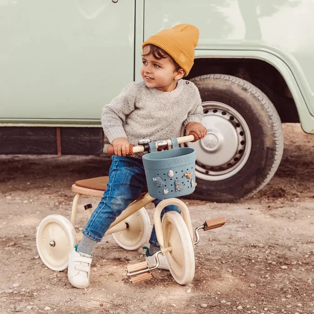 Banwood Pin&Ride Fietsmand - Teal