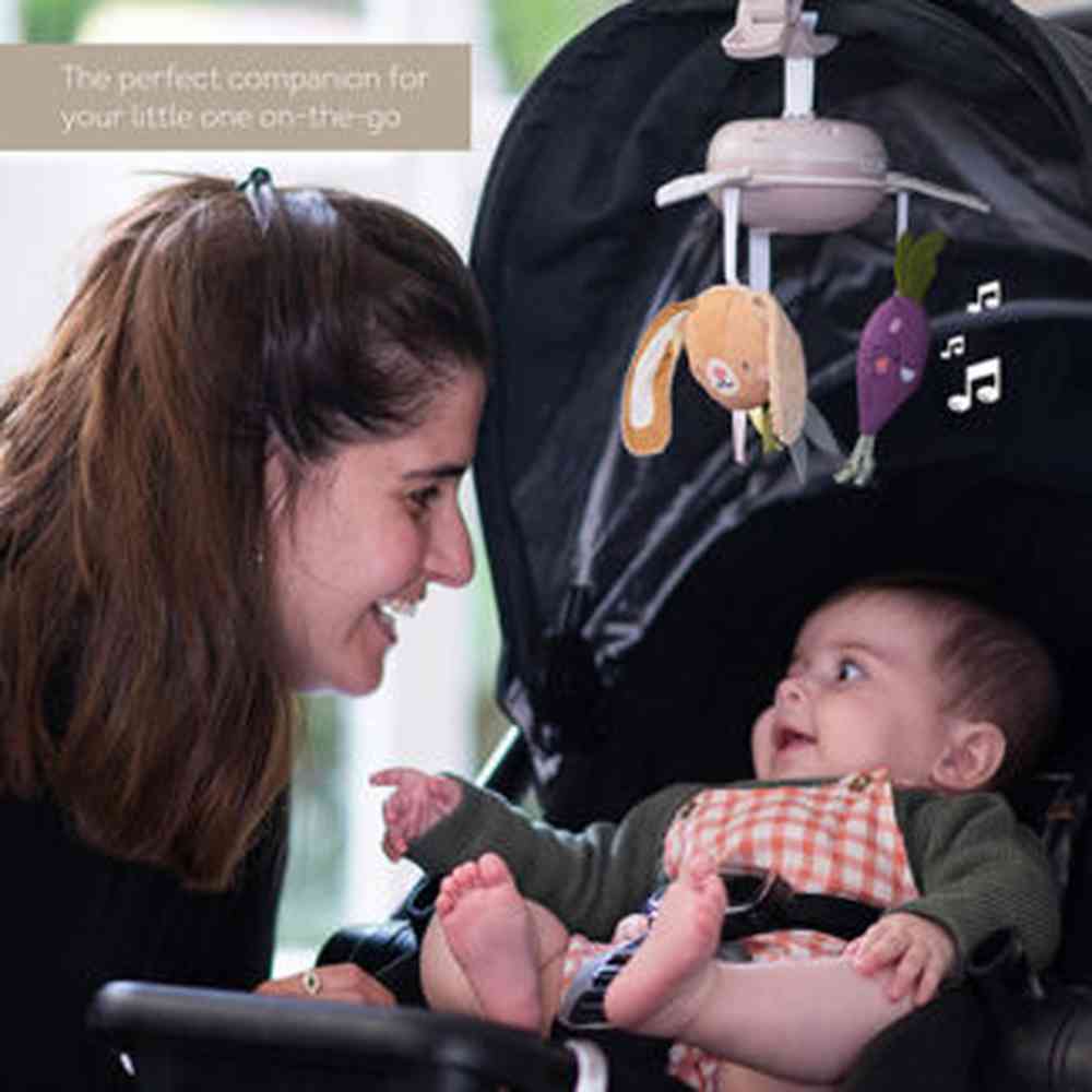 Taf Toys Easier Parenting - Garden Mobile On - The - Go