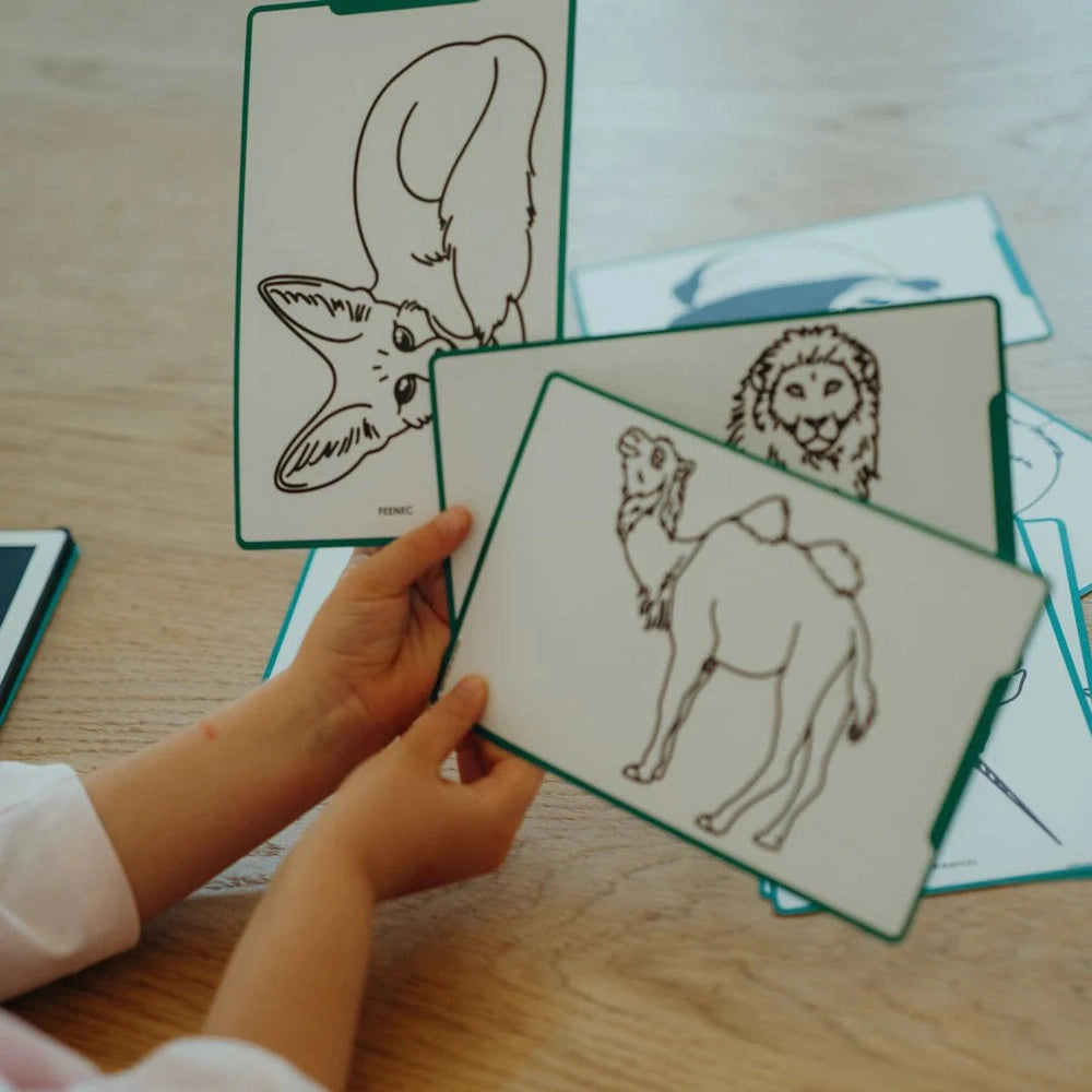 Kidywolf Kidydraw Mini Tekentablet - Animals Around The World