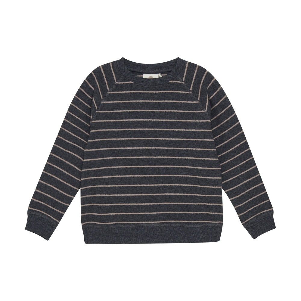 En Fant Sweater Met Strepen