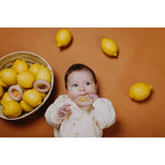 Petit Boum Sensorische Donut Watermeloen