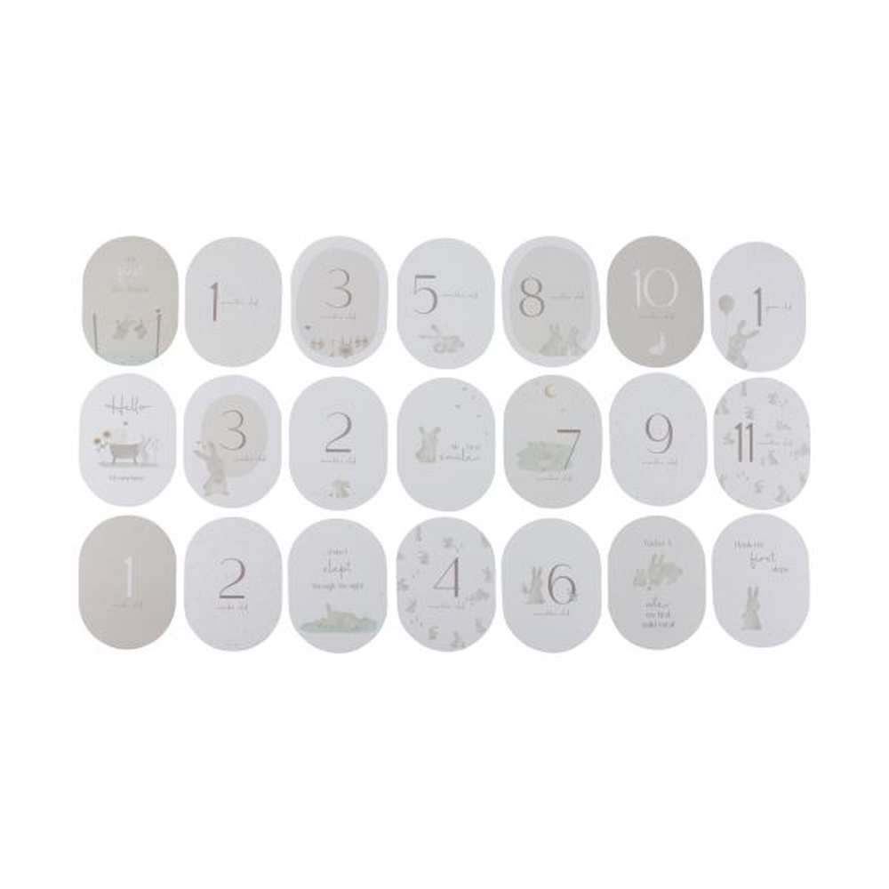 Little Dutch Milestone Cards